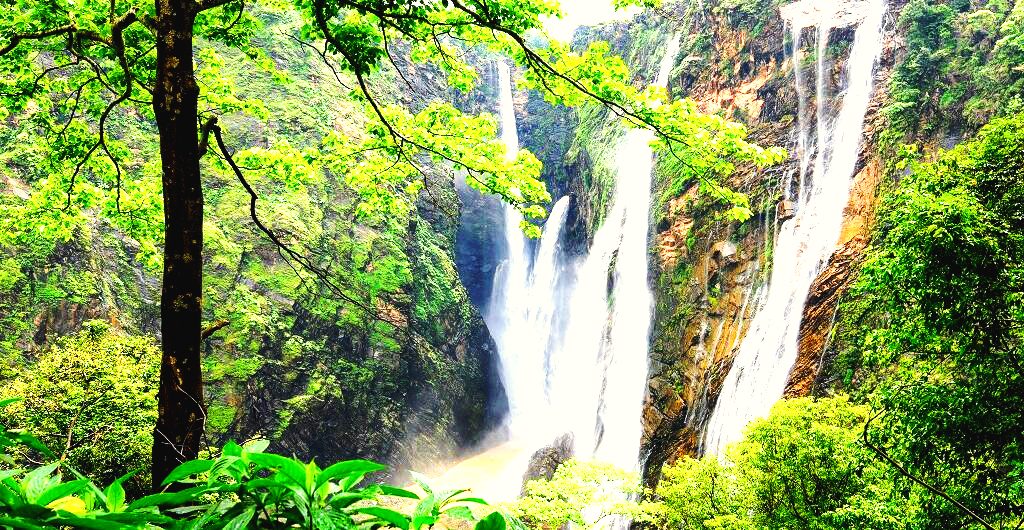Day 3: Kumta - Jog Falls - Murdeshwar